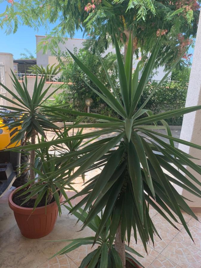 Valentina Lovely Rooms Trapani Bagian luar foto